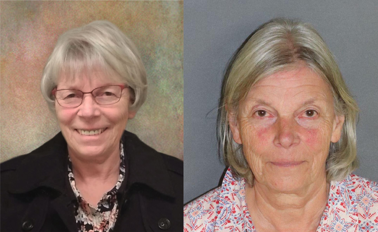 Pollyann Sorcan, Rock Ridge School Board director, charged with DWI