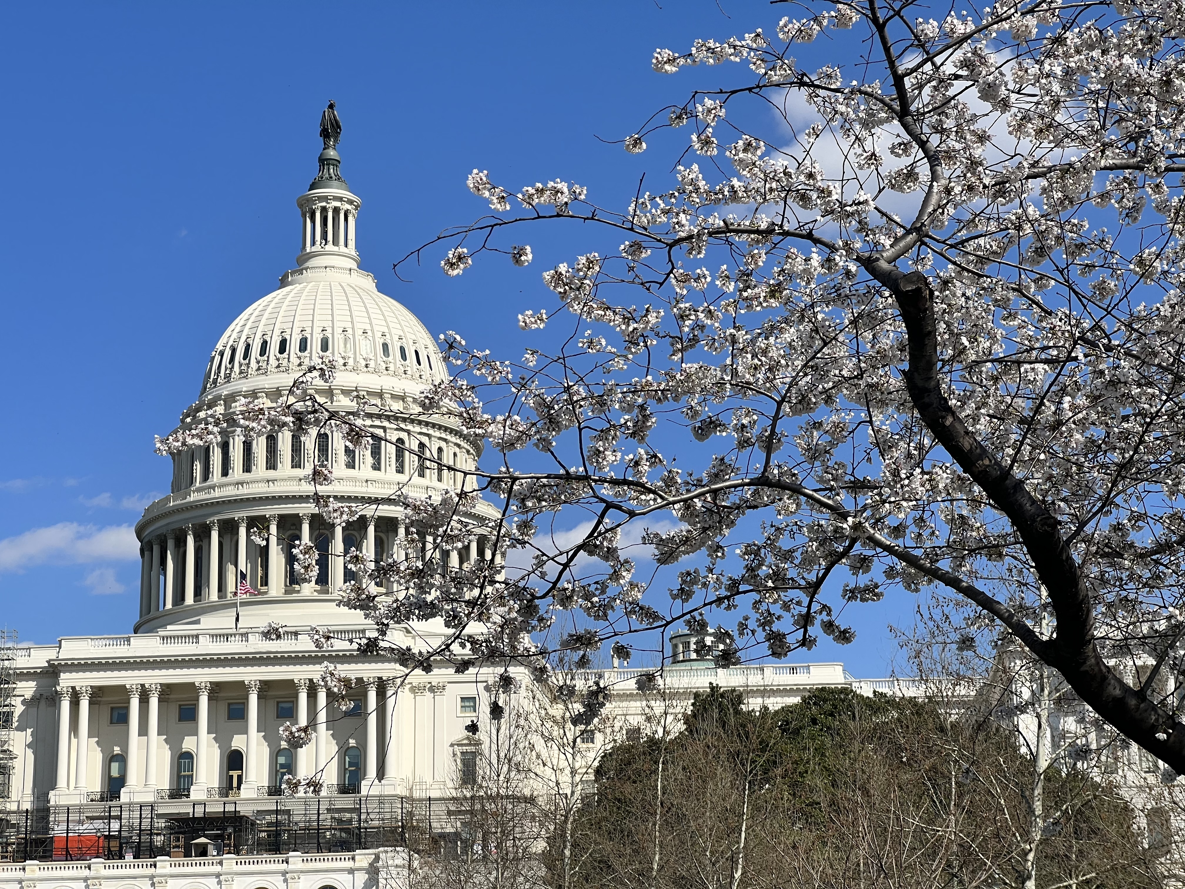 Minnesota lawmakers secured a few earmarks in bill that reopened government